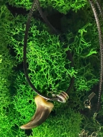 Амулет Коготь Волка