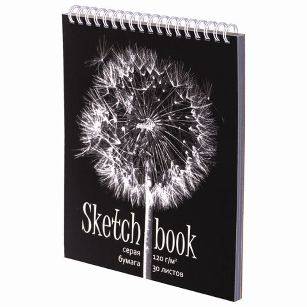 Скетчбук, серая бумага 120 г/м2, 170х195 мм, 30 л., гребень, подложка, цветная фольга, "Одуванчик", 98672