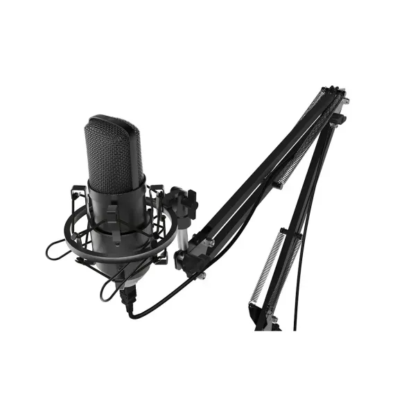 Ritmix RDM-169 USB Black