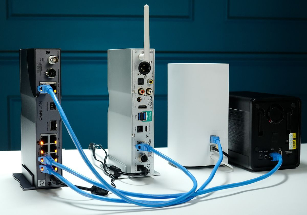 Сетевой коммутатор iFi audio Silent Power Omni Lan Silver