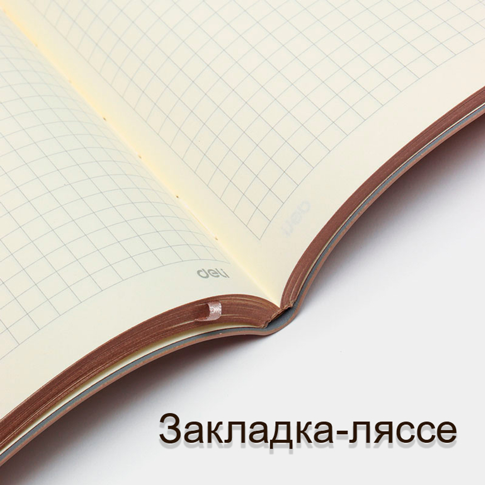Ежедневник недатированный Deli "Trouvaille" А5, 192 страницы, мягкая обложка, на резинке, коричневый