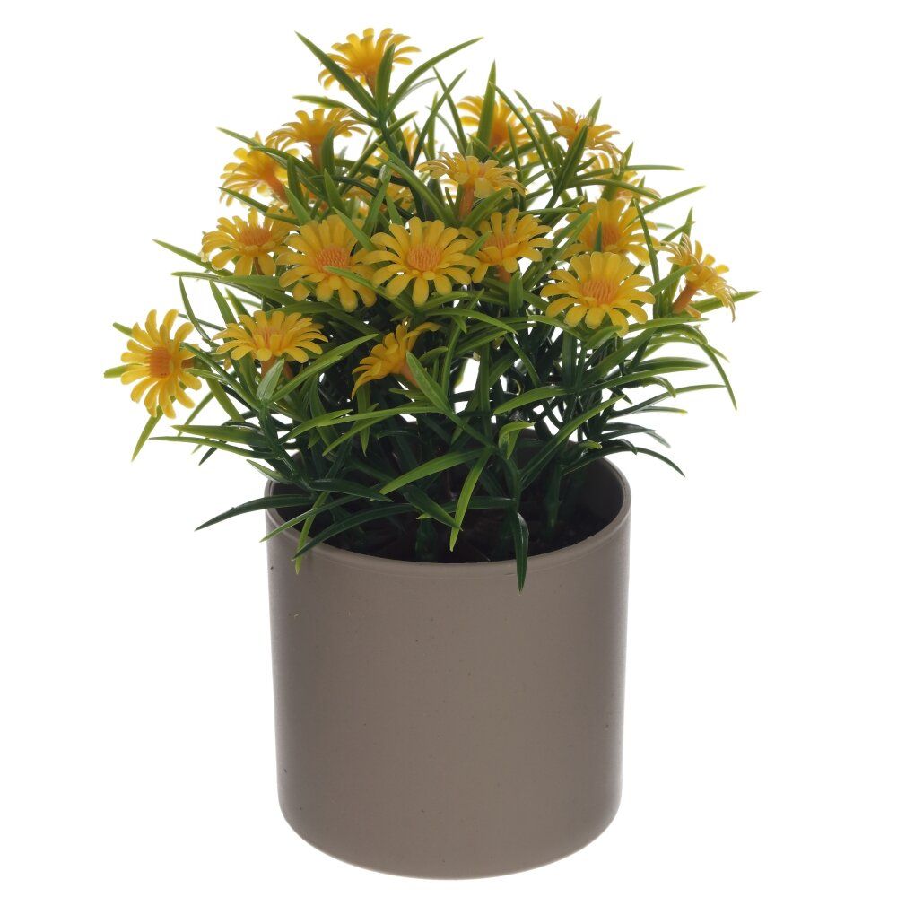 GAEM Цветочная композиция, L12 W8 H16 см