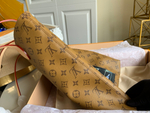 Louis Vuitton Carry It Tote