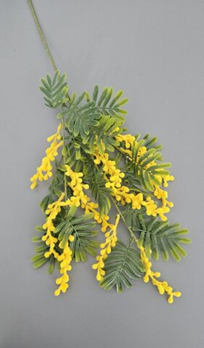 Мимоза / Арт 2379