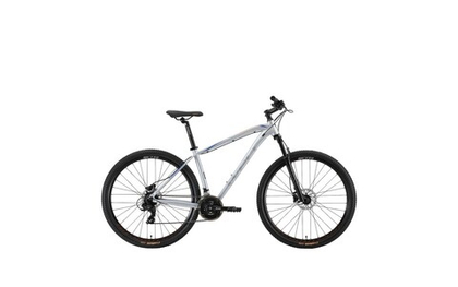 Горный велосипед Welt Raven 1.0 HD 29 (2023)