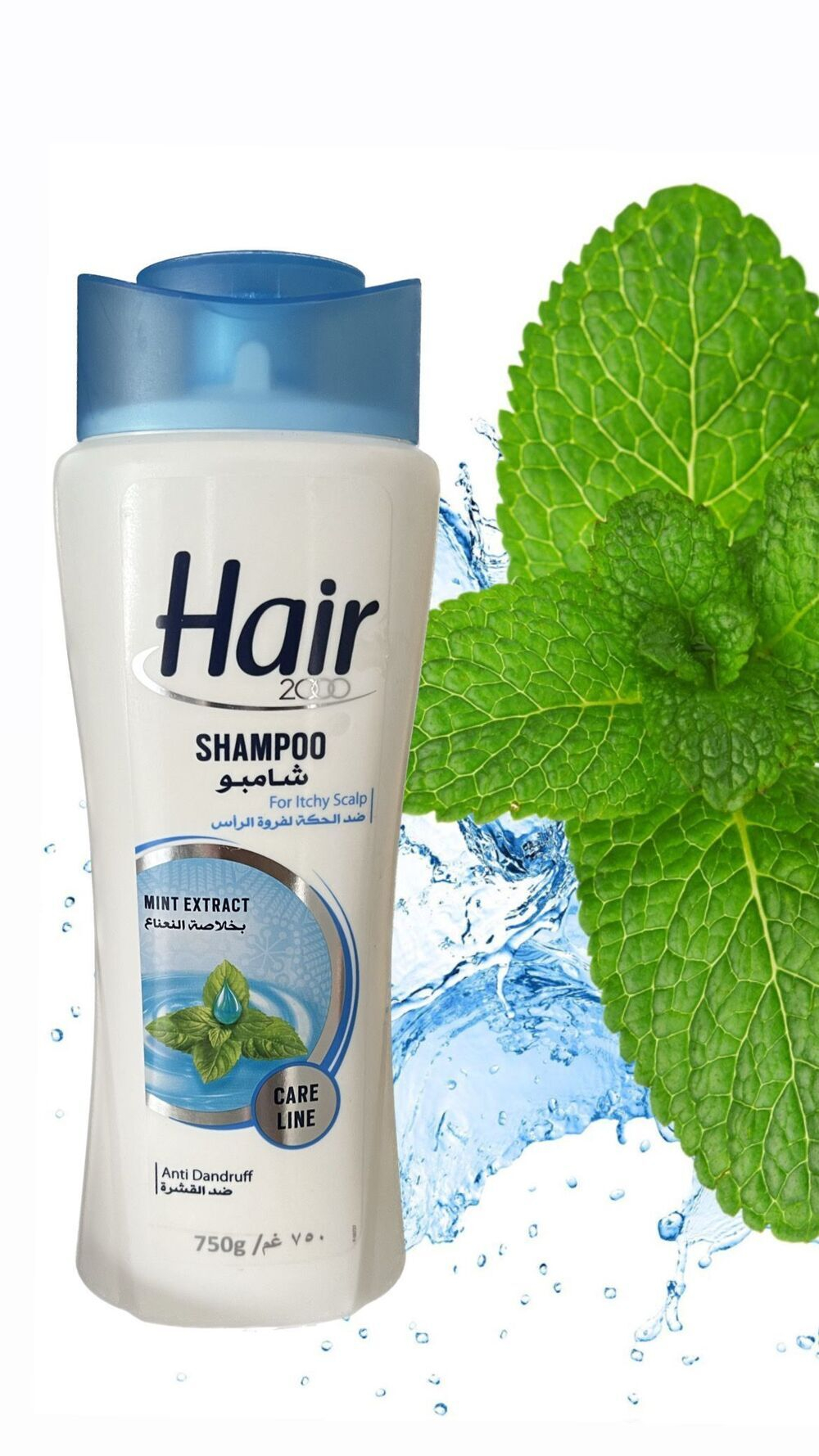 HAIR Шампунь с экстрактом мяты 650 гр