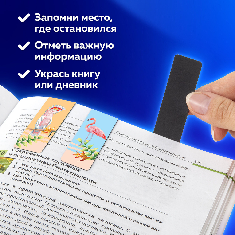 Закладки для книг МАГНИТНЫЕ "MIX" набор 30 шт. 60x20 мм BRAUBERG (3 штуки в упаковке)