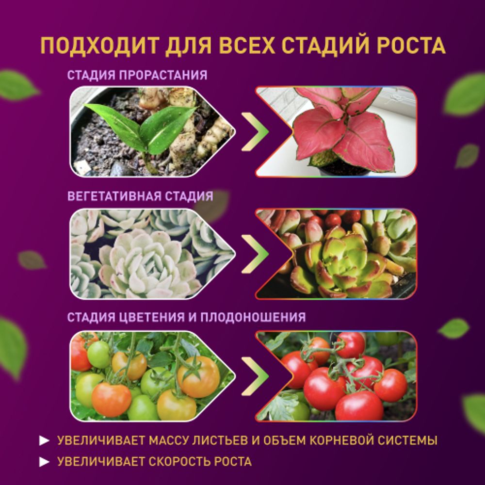 Светодиодная лента для растений ЭРА FITO-Strip Light-RB-2m красно-синего спектра, 2 м, IP65 с адаптером 12V в комплекте | 