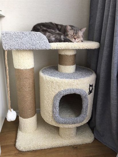 Дом для кота Д-6