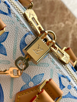 Louis Vuitton Speedy 20