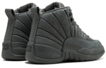 Кроссовки Jordan Air Jordan 12 Retro Psny