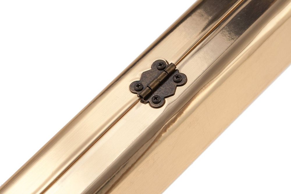 Футляр для кия 1-pc (золотистый) 1700мм