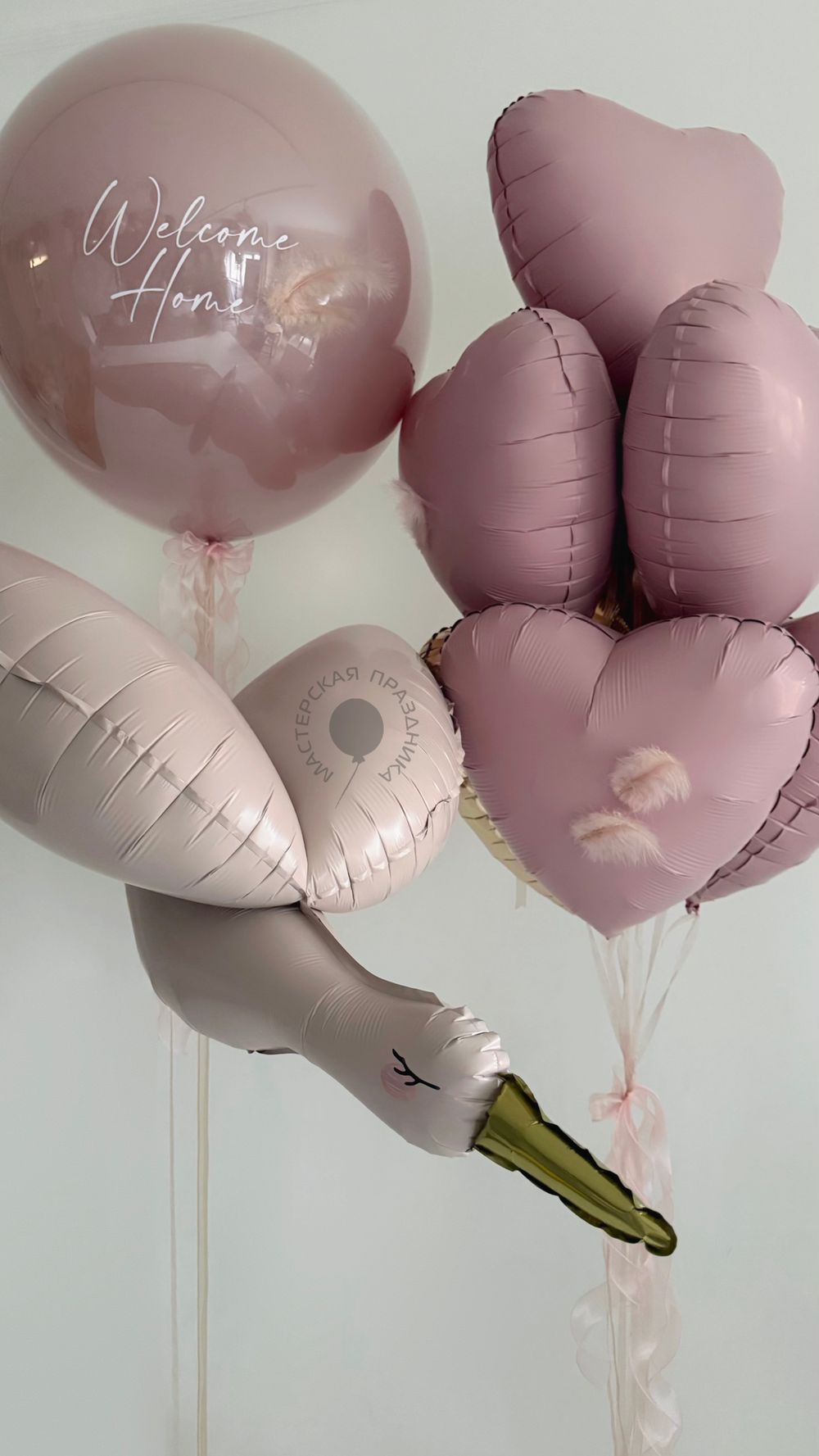 Воздушные шары на выписку для девочки №8864  Изображение4