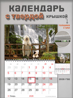 Настенный отрывной календарь "Собаки у водопада"