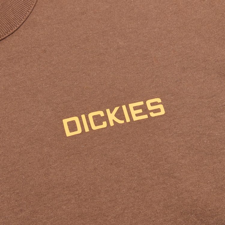 Лонгслив Dickies Payson 2-in-1 Let T-shirt артикул:DK0A88JF0TB1 - купить в магазине Дайс