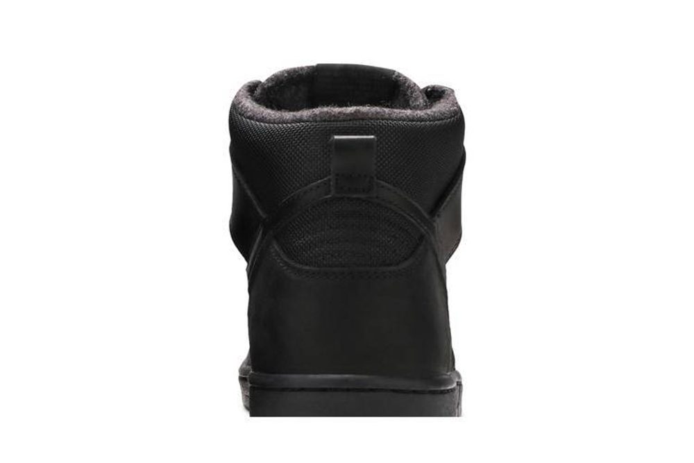 Кроссовки Nike Dunk Sb Bota