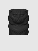 Шотландская вислоухая кошка