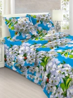 Комплект полутороспальный с одной наволочкой 70х70 см