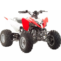 Квадроцикл Motoland 250S