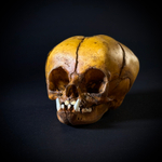 Маленький монстр