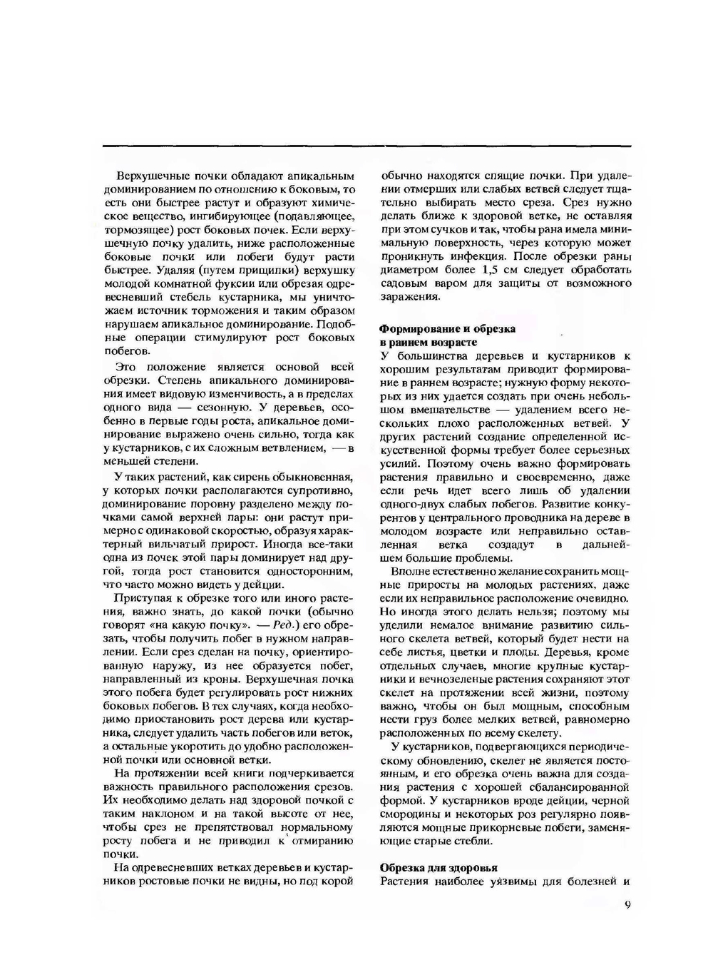 Обрезка растений | Картье Брикелл Франческа