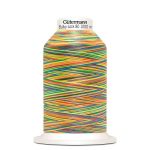 Нить текстурированная Gutermann Bulky-Lock 80 multicolor (1000 метров), 1 кат. | 9822