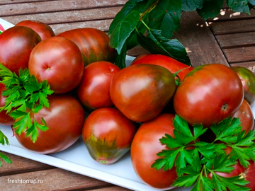 Древнее сердце Равенны (Cuore Antici di Ravenna) сорт томата