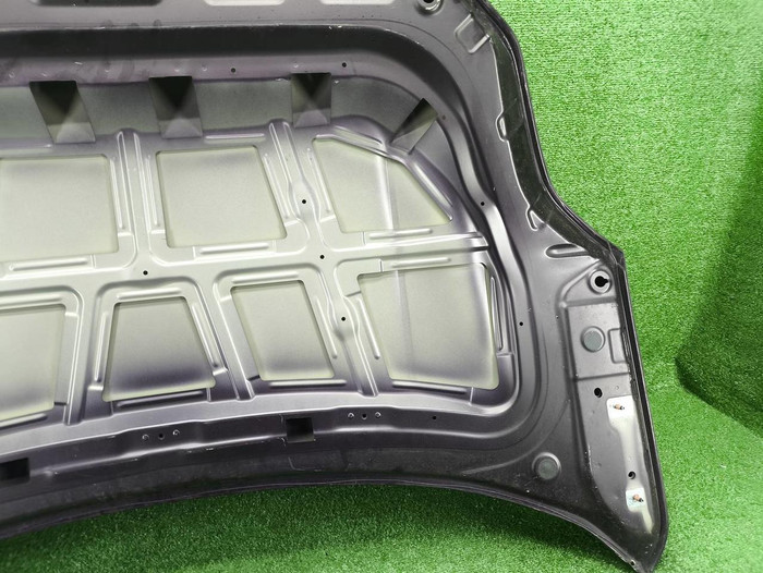 Капот Zeekr 001 (2021-н.в.)