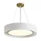Подвесной светильник Уют / Cozy Freya fr6170pl-l52bs