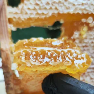 Мед цветочный в сотах натуральный /250 гр