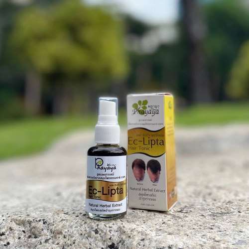 Растительный тоник для волос и здоровья кожи головы с эклиптой, центеллой и махаадом Eclipta Hair Tonic Phayaya