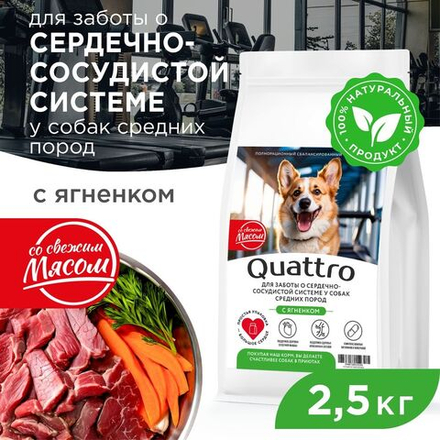 Корм сухой для взрослых собак средних пород, премиум полнорационный комплекс, для сердечно-сосудистой системы, с ягненком, 2,5 кг, QUATTRO