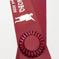 Лента наградная "Выпускник 11 класс". Арт. № 20, цвета в ассортименте.