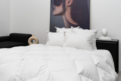 Комплект элитных пуховых одеяла 200х200 и подушки 50x68 German Grass Downline