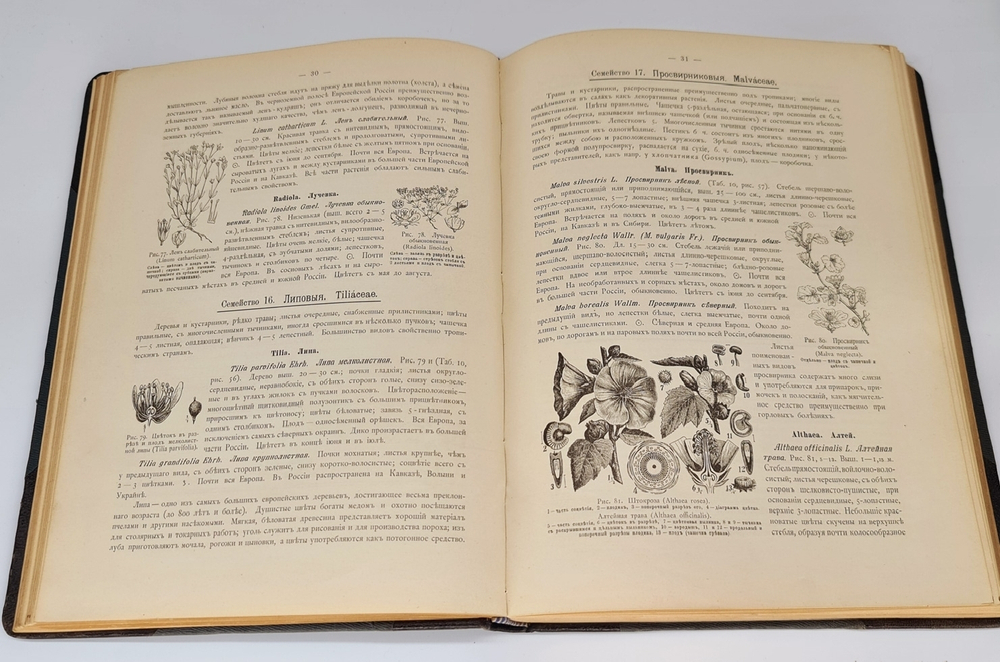 "Ботанический атлас по системе де-Кандоля". К.Гофман. 1899г.