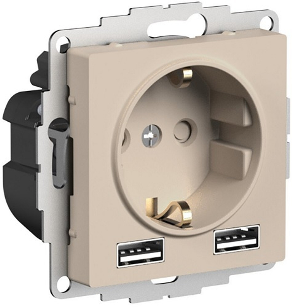 Розетка с заземлением с 2 USB  Systeme Electric ATN001230
