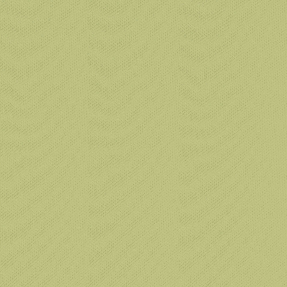 Простыня на резинке 200x200 Estella 555 maigrun ярко-зеленая