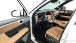 Hyundai Santa Fe (MX5) HEV 1.6 2WD (01.2024)
