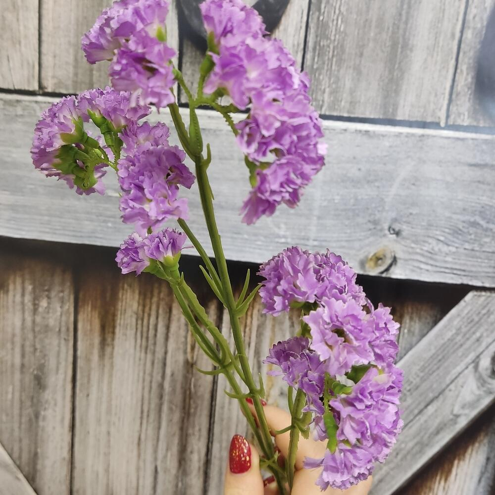 Статица искусственная фиолетовая