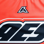 Рашгард Aesthetic Moto