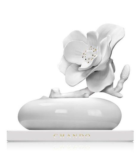 Romance, ароматический диффузор с необычными палочками, Chando