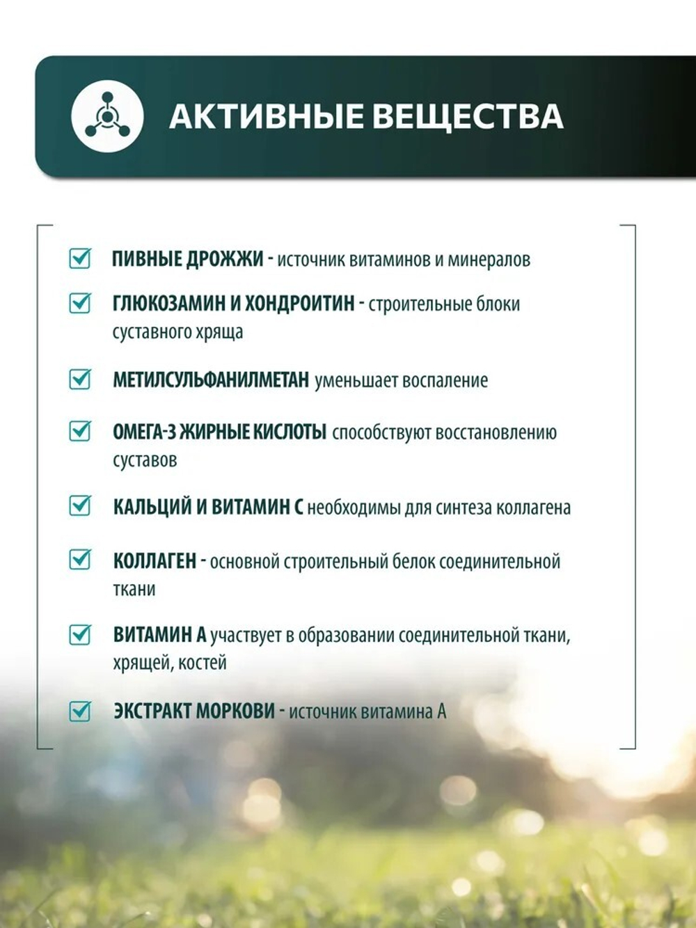 Vita+ мультивитаминное лакомство для собак "Здоровые суставы", 45 г