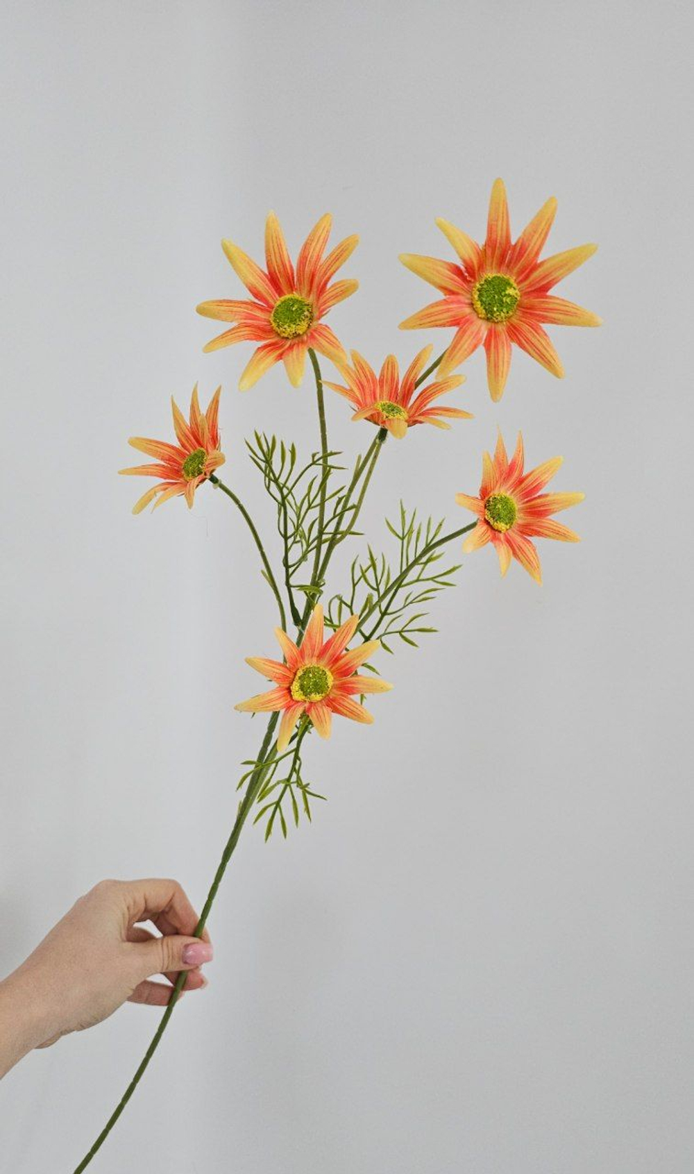 Хризантема / Арт 2435