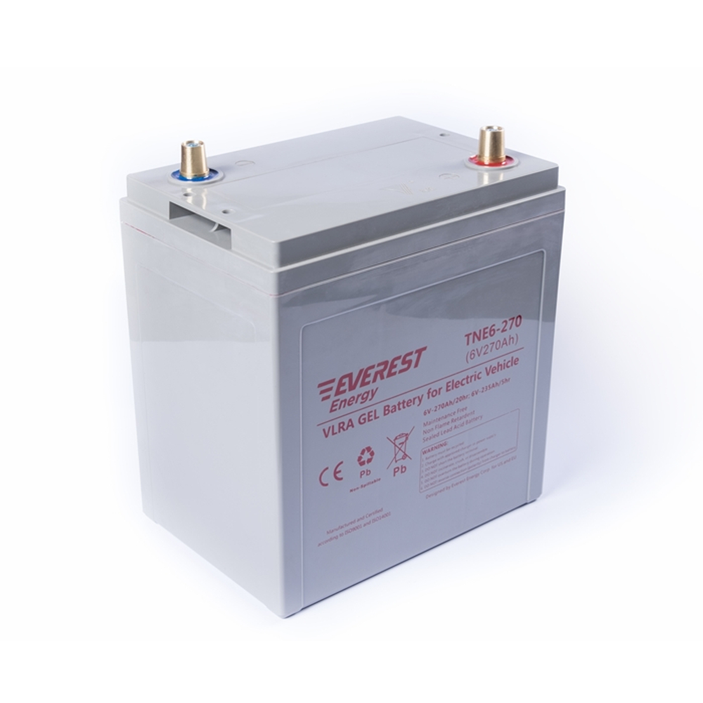 Тяговая аккумуляторная батарея EVEREST TNE 6-270