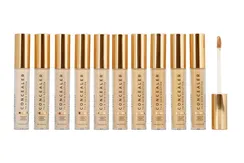 Устойчивый минеральный консилер