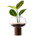 Ваза oblate, 21,5 см, прозрачная/орех