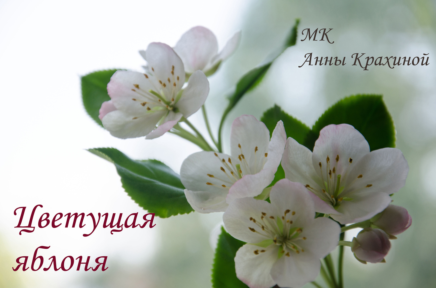 Цветущая яблоня из холодного фарфора