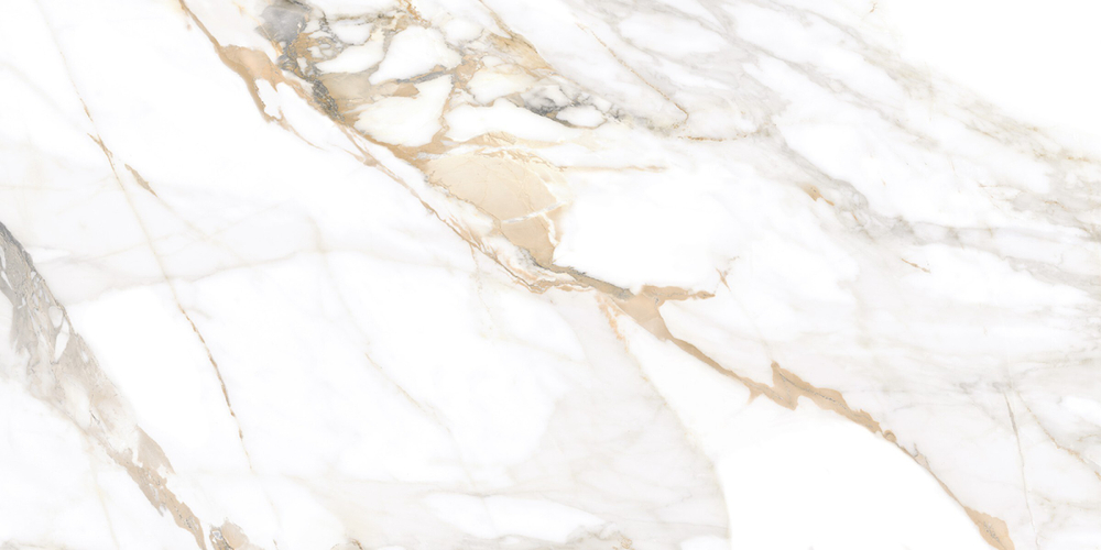 Trendy GFU60120TRD04R