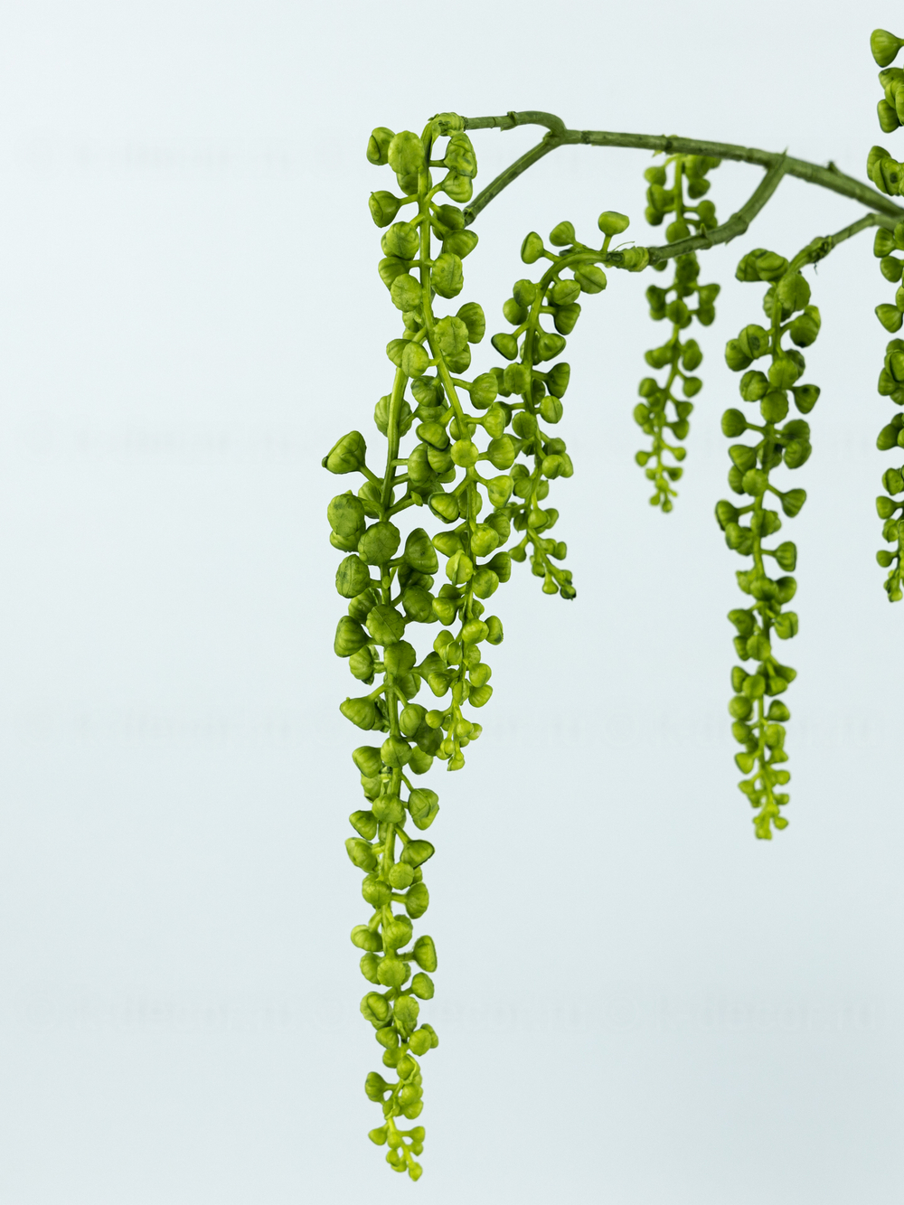 Ампельные грозди силикон