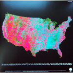 Talking Heads / More Songs About Buildings And Food (LP)